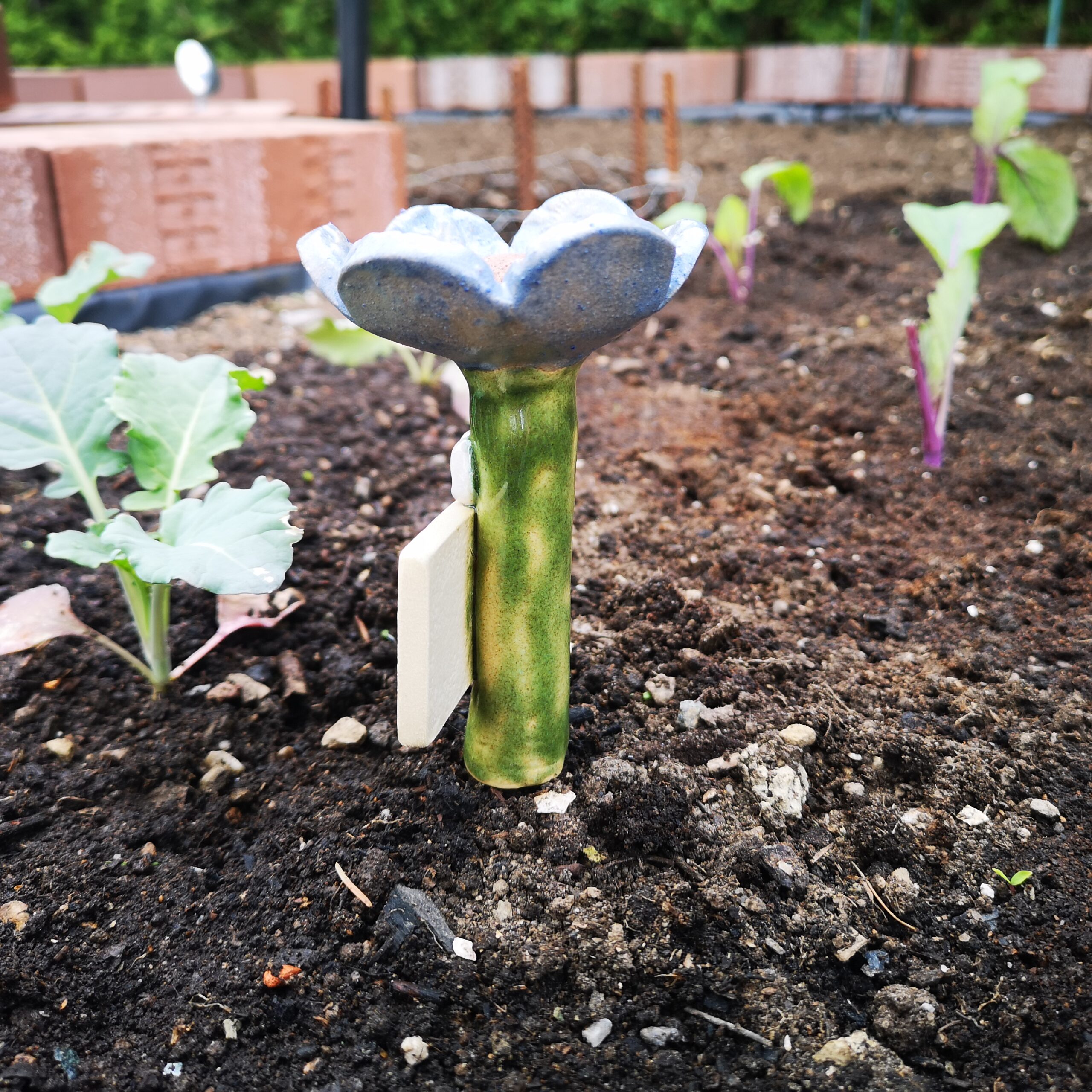 Bienenbar Insektentränke Blau