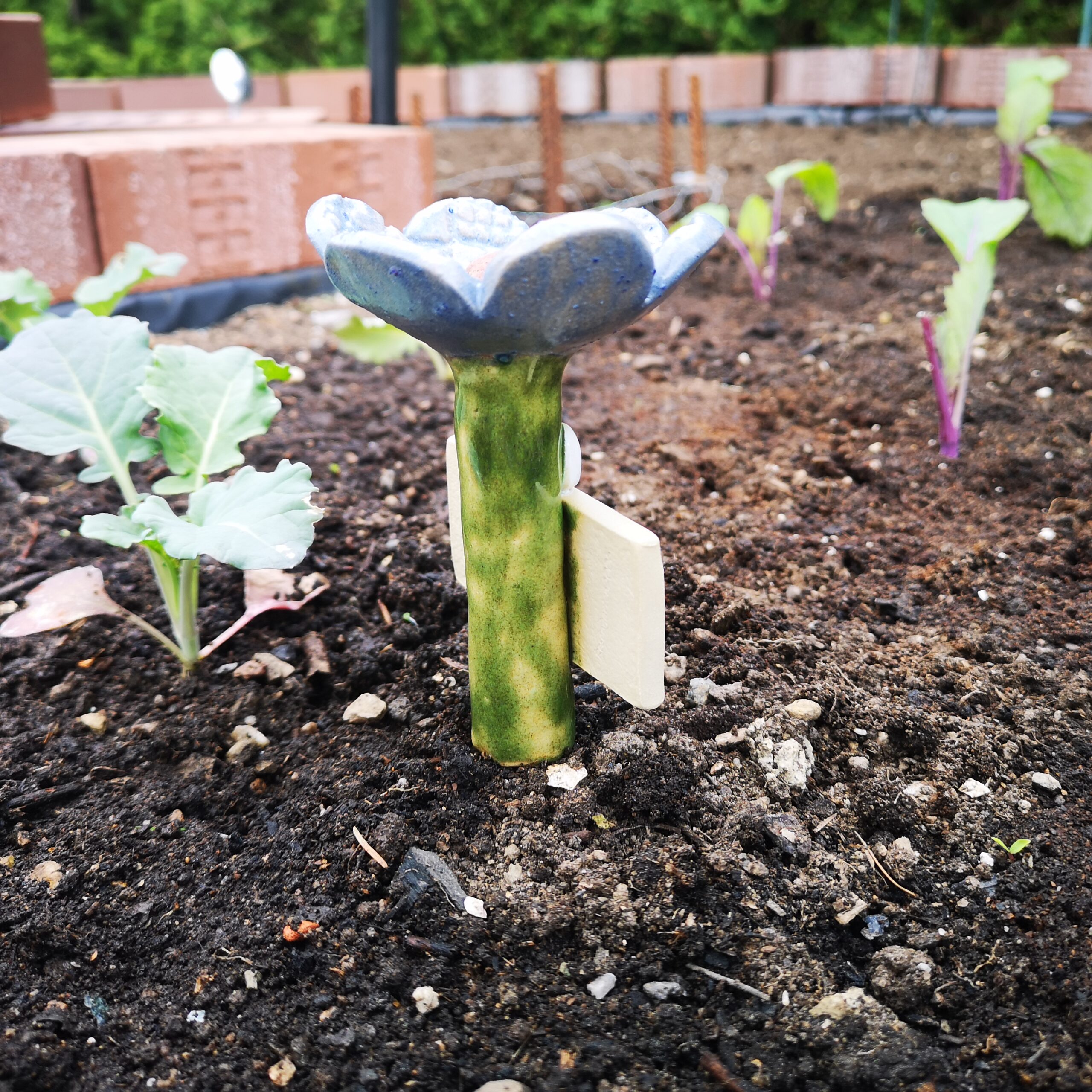 Bienenbar Insektentränke Blau
