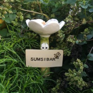 Bienenbar Sumsibar Insektentränke