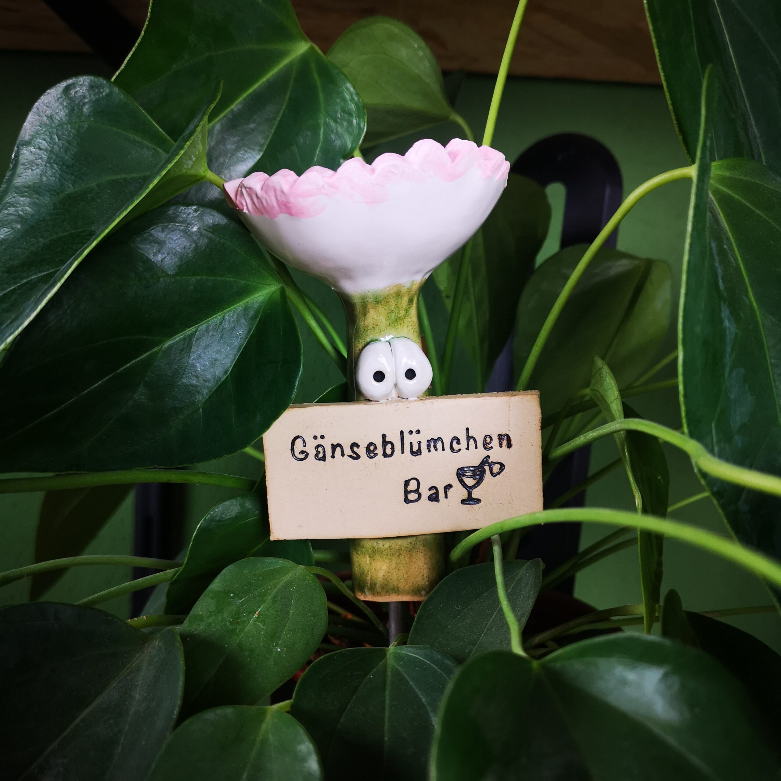 Insektentraenke Geburtsblume