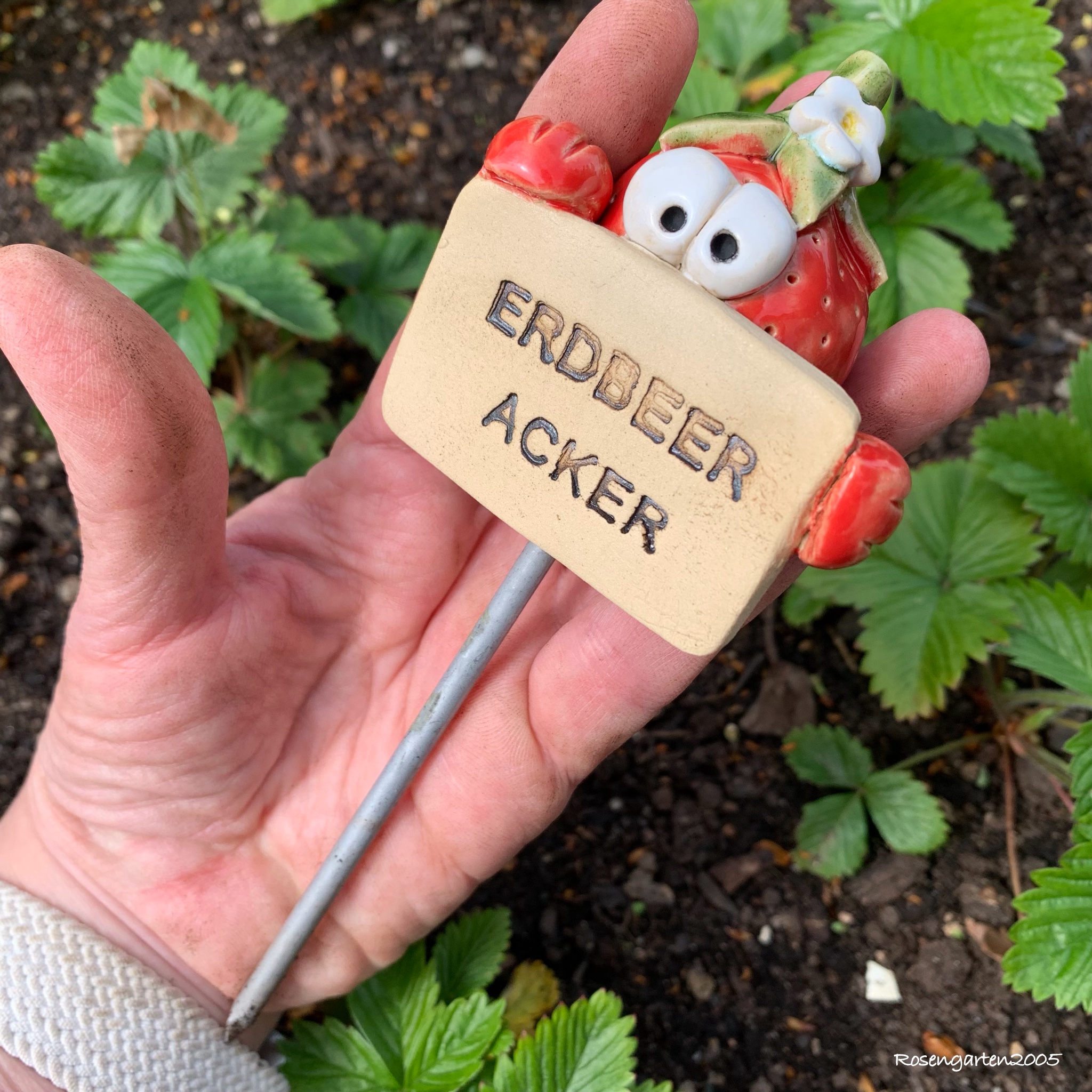 Gemüsestecker Erdbeere