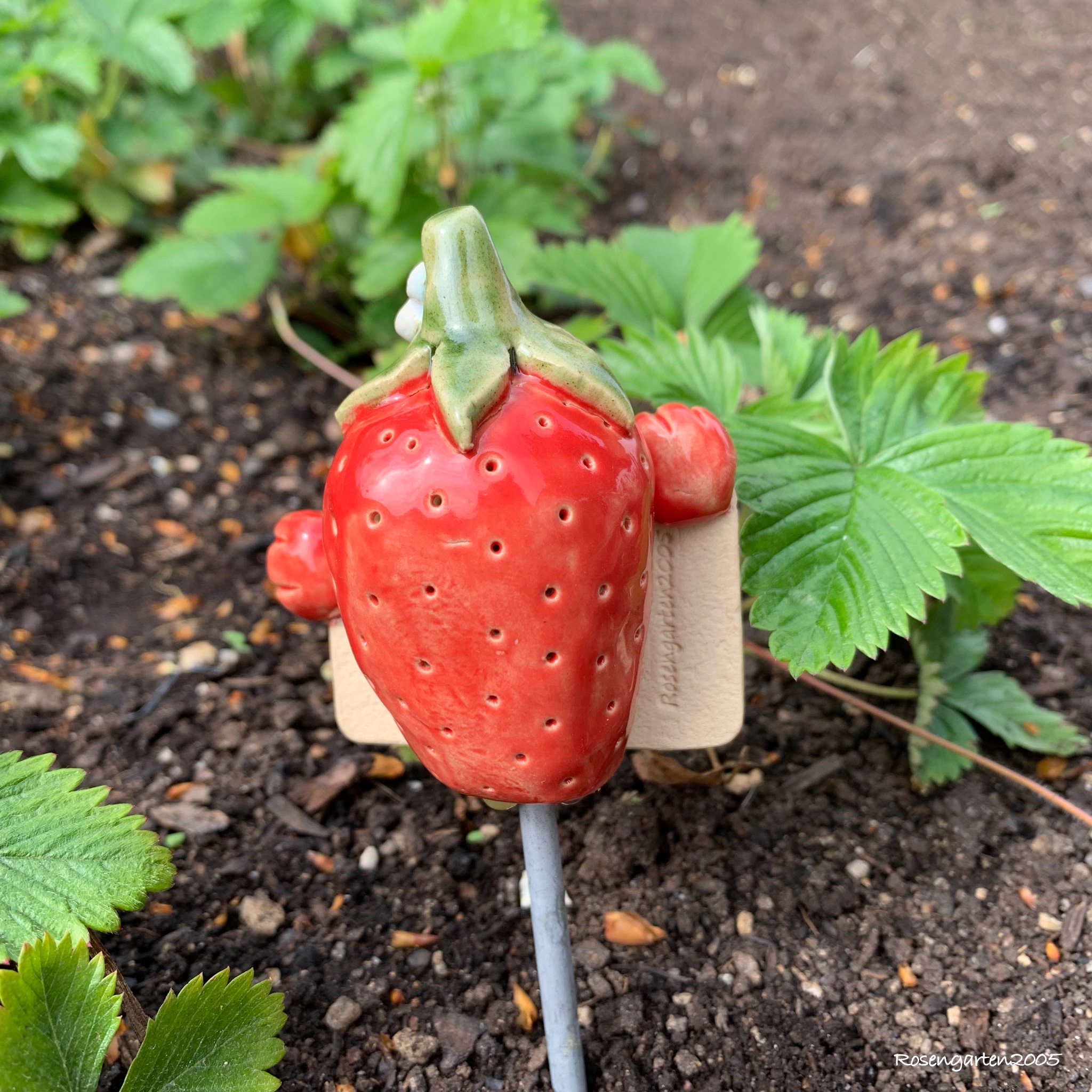 Gemüsestecker Erdbeere