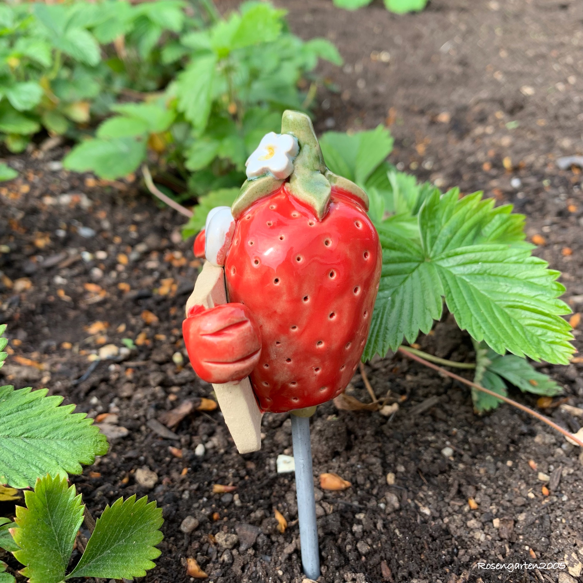 Gemüsestecker Erdbeere