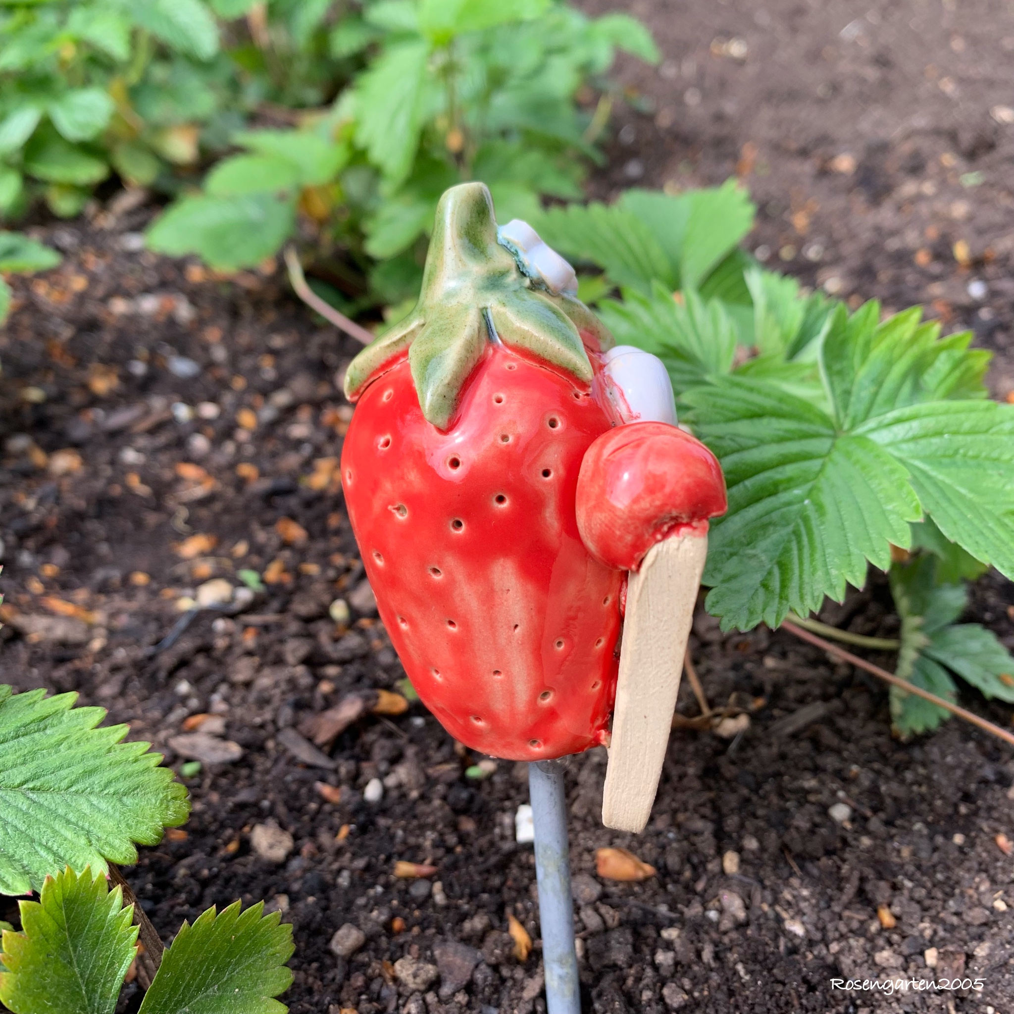 Gemüsestecker Erdbeere